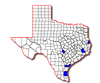 Blastopsocus walshi map