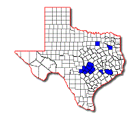 Graphopsocus cruciatus map