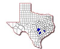 Peripsocus sp. mystery map