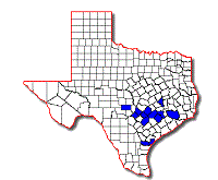 Trichopsocus dalii map